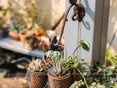 Móc treo hoa kiểu vẫy con chim [Sắt mỹ thuật - Để ngoài trời được] R25.5cm MOCTREO-03